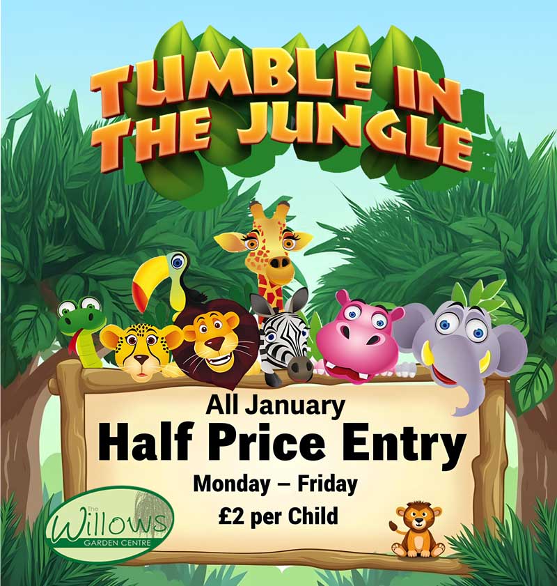 Halfprice Jungle Web