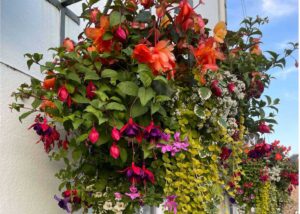 Landscape basket