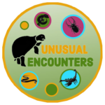 Encounters
